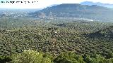 Peñas de Castro. Vistas desde su ladera
